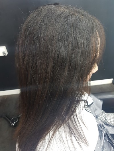 태라헤어 이미지