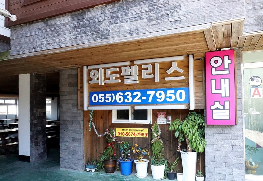 외도펠리스 이미지