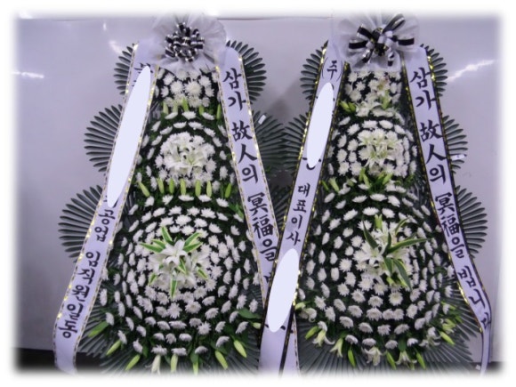 야탑동 351 (분당차병원) 이미지