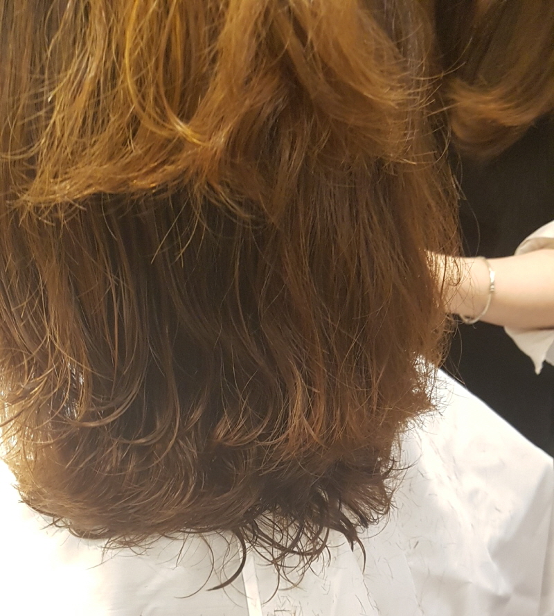살롱드스텔라 이미지
