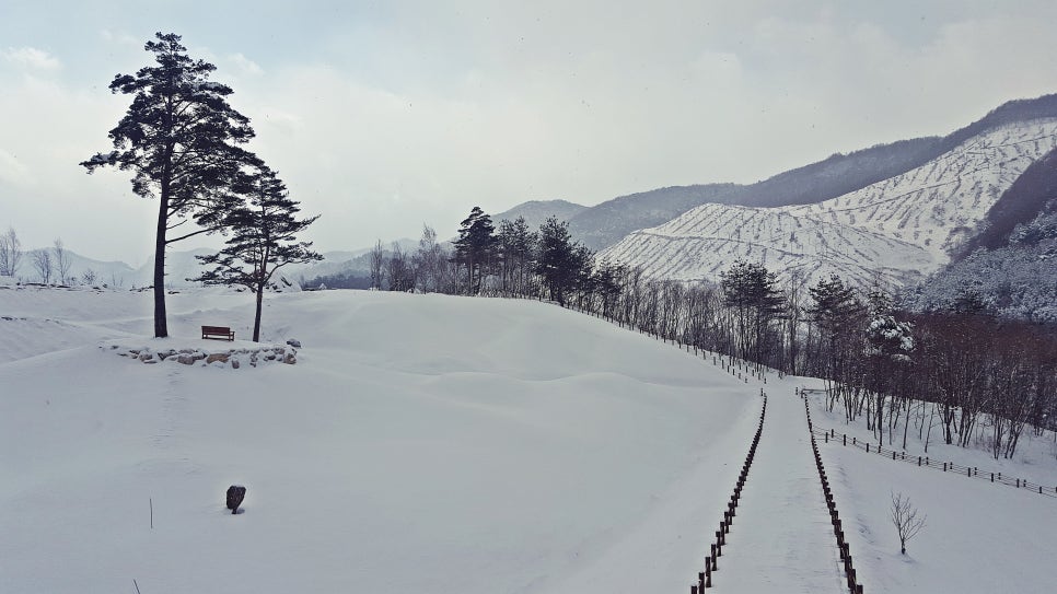 로미지안 치유의 숲 이미지