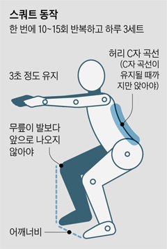 백석PT모티플짐 이미지
