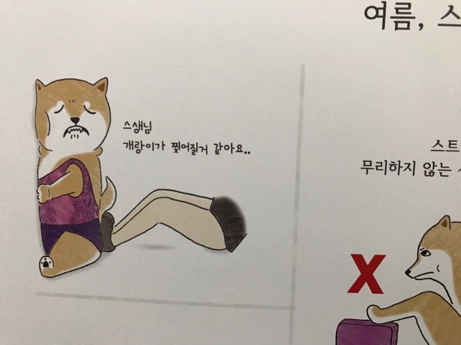 이화엠와이발레학원 이미지