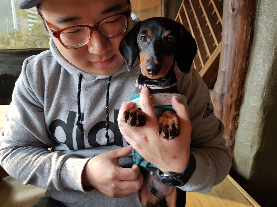 미스리햄버거 이미지