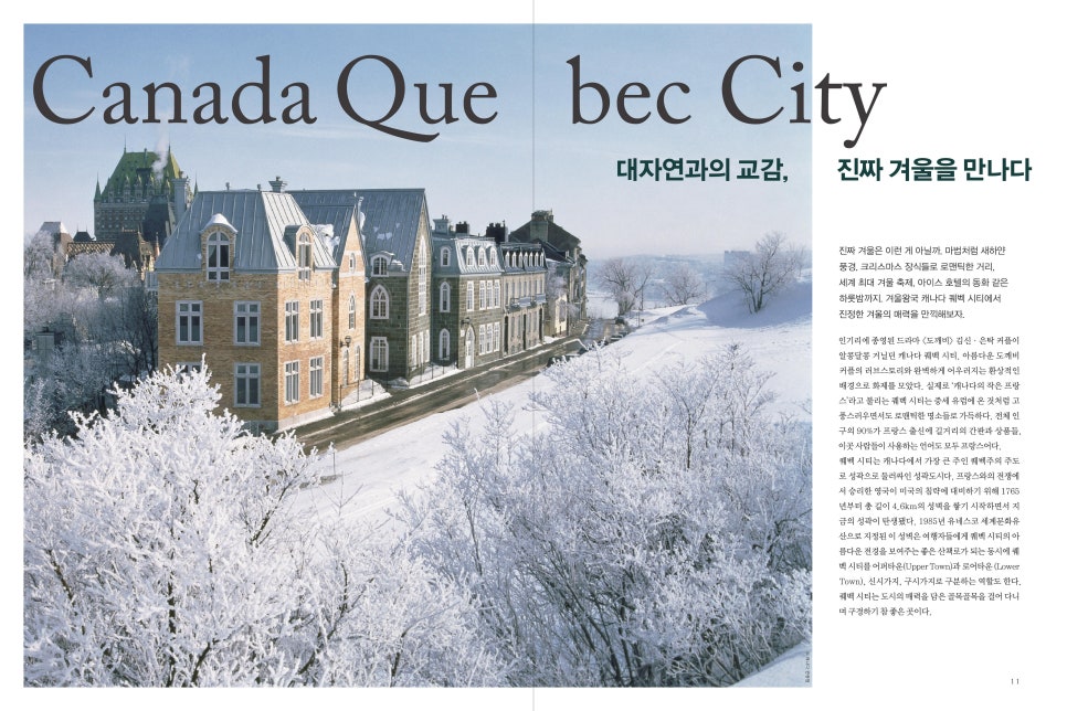 대자연장식 이미지