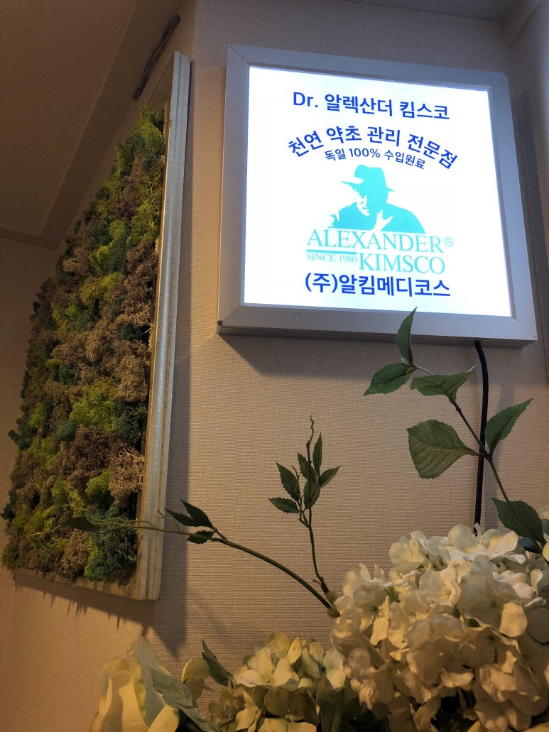 라파에스테틱 이미지