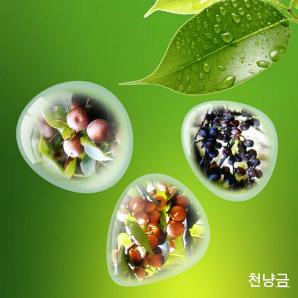 제신 이미지