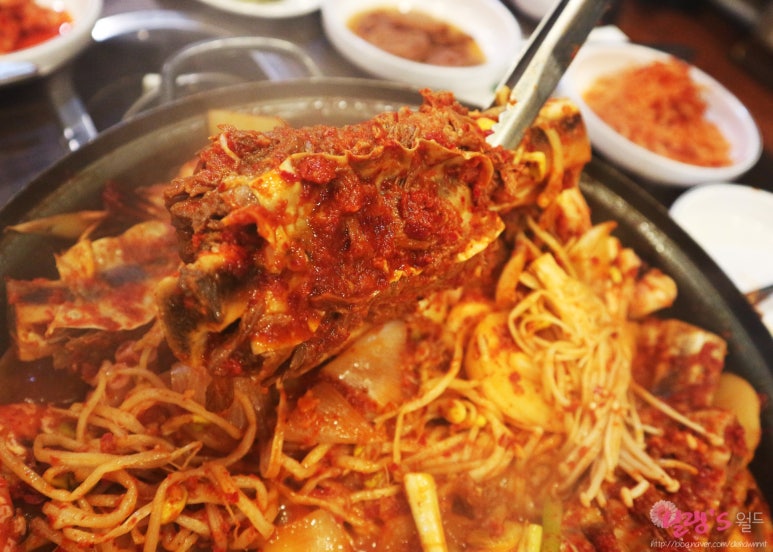 우사미 이미지