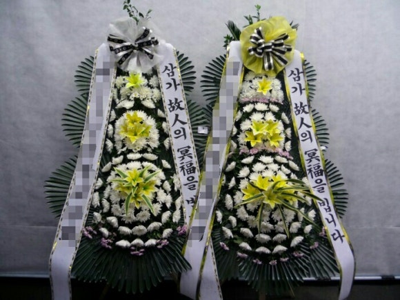 야탑동 351 (분당차병원) 이미지