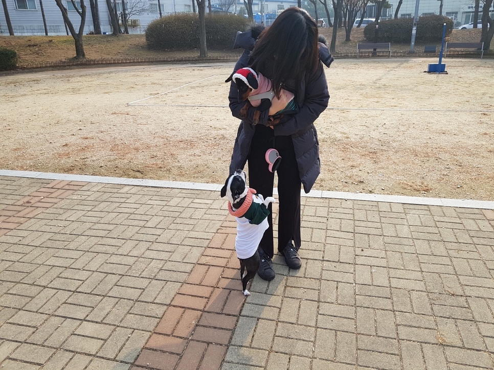 미스리햄버거 이미지