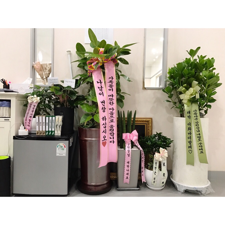 이화엠와이발레학원 이미지