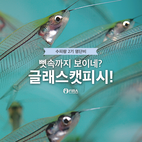 둘리수산 이미지