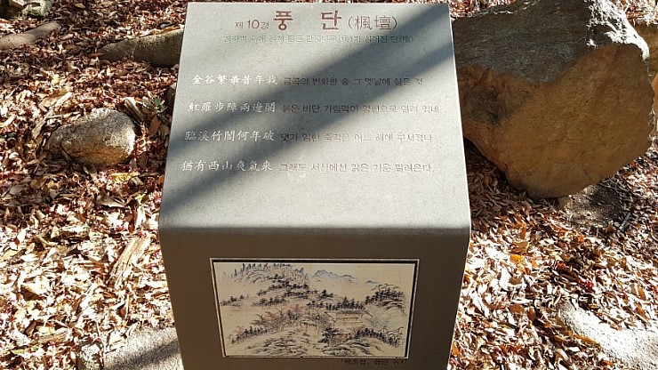 라보장 이미지