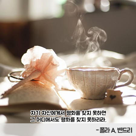 벤드리 이미지