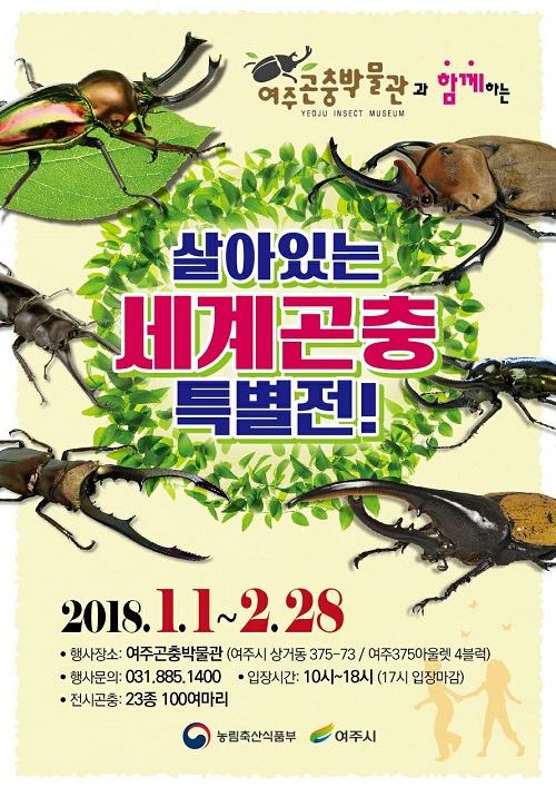 모두의곤충 이미지