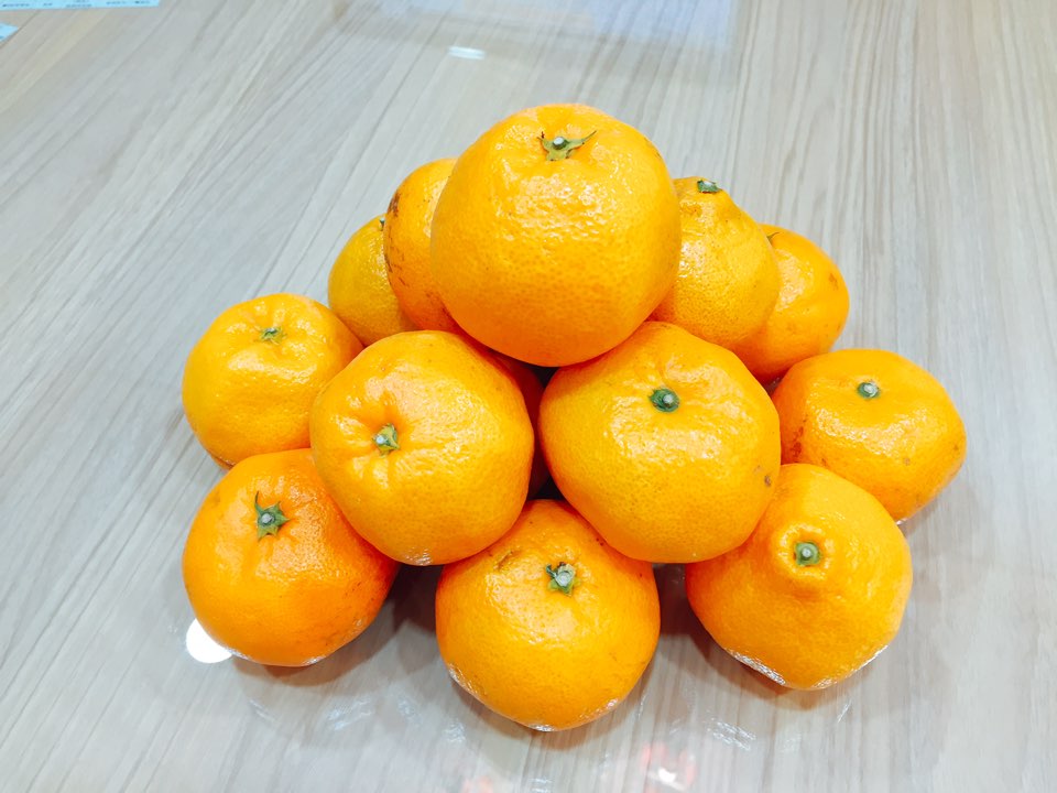박*자 이미지