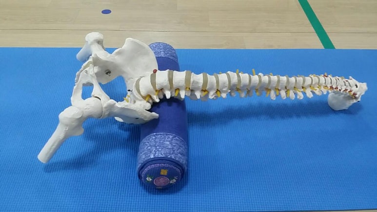 맵시무브먼트센터 이미지