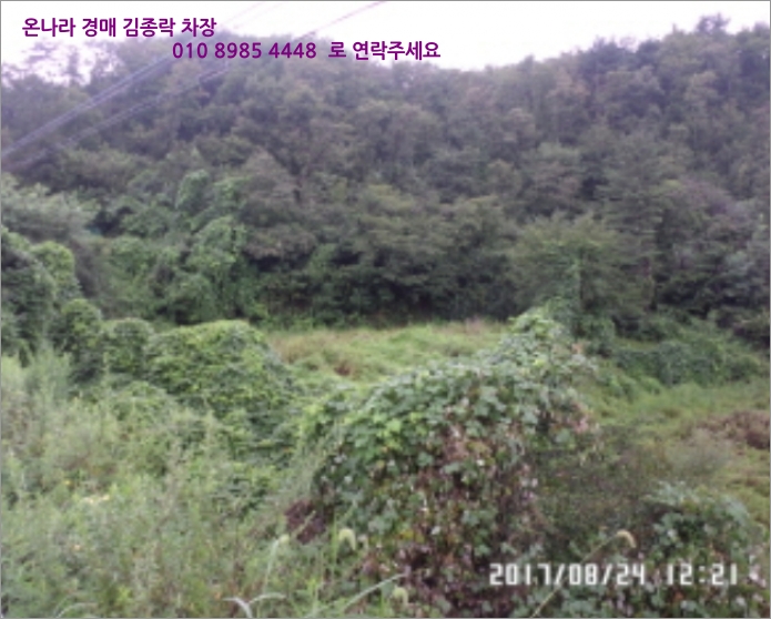 묵리주유소 이미지