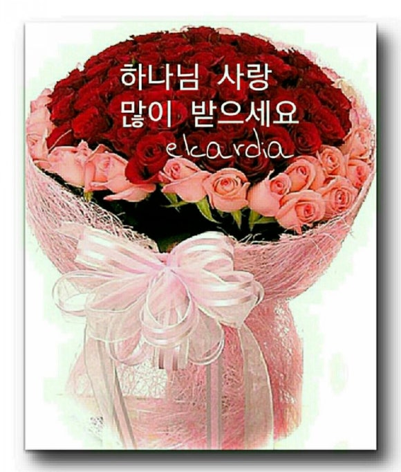 육하원칙 이미지
