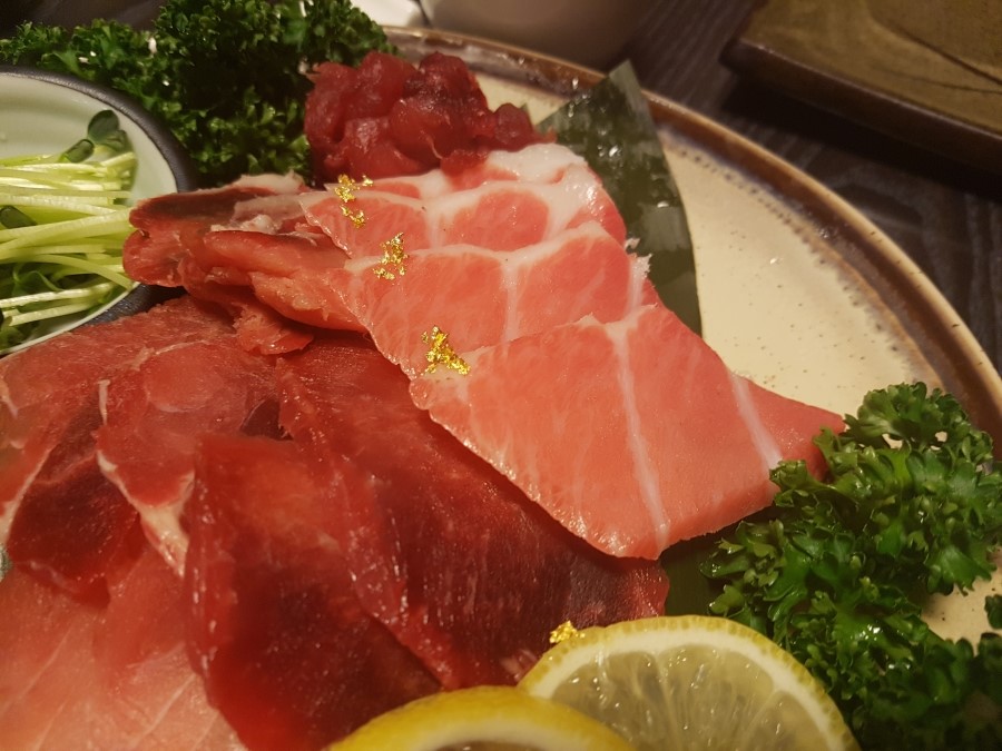 하참치 이미지