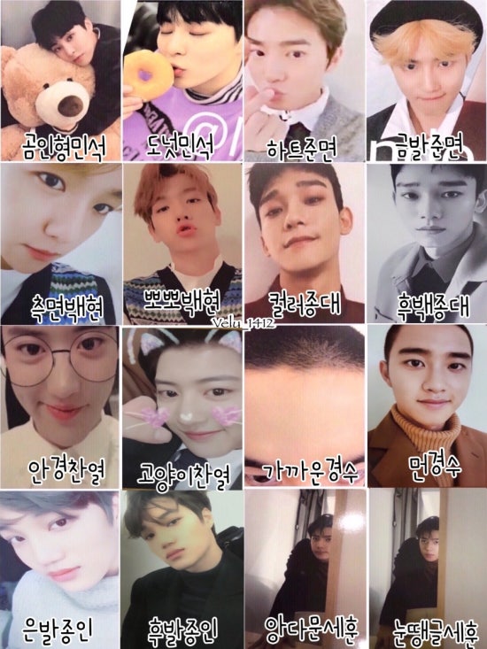 포카포카 이미지