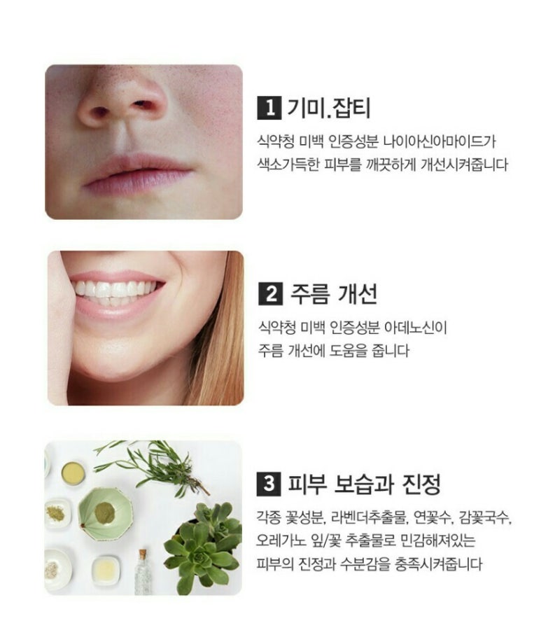 매직플라워 이미지