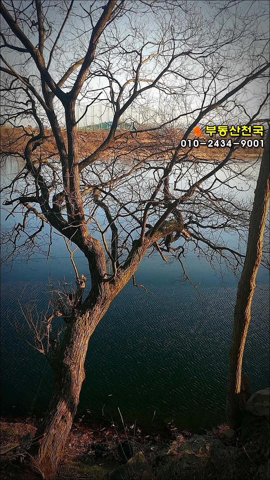 금호숯불가든 이미지