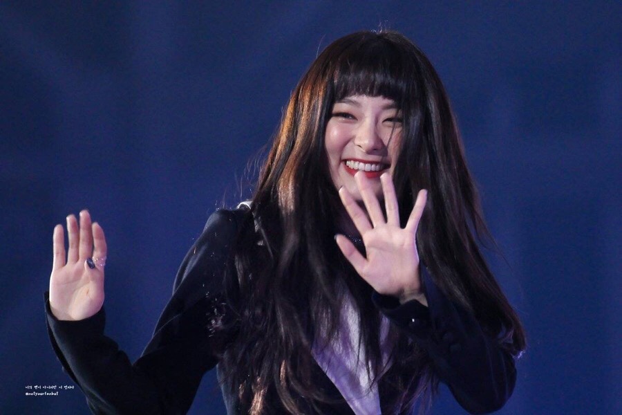 와대박 이미지