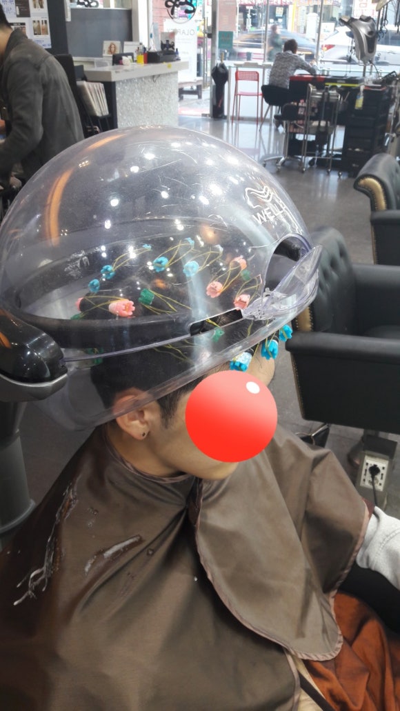 시저리 이미지