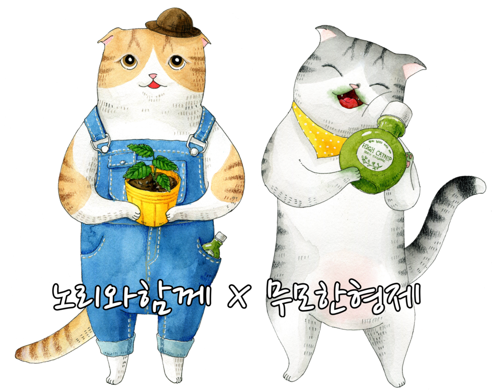 조하노리 이미지