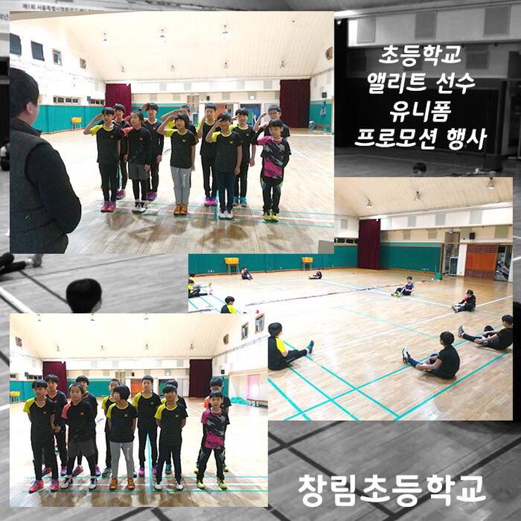 맥스아이스포츠 이미지