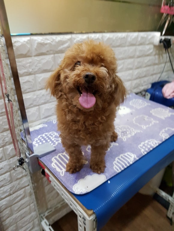 크라운앤피플 이미지