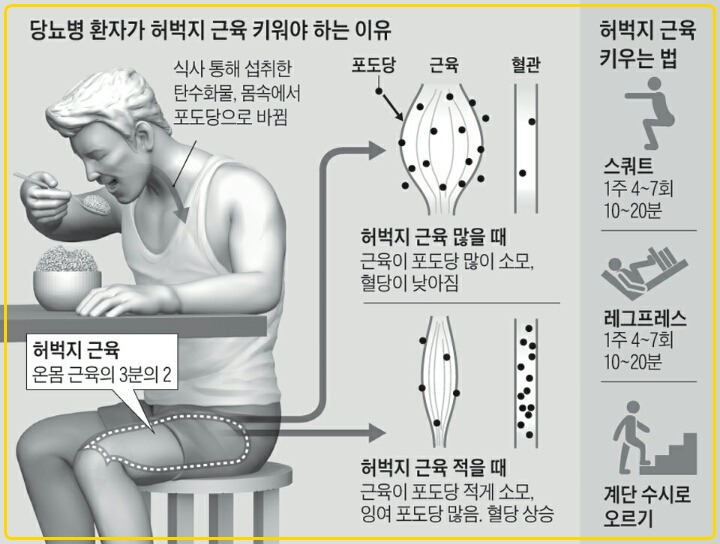 영건핏 이미지