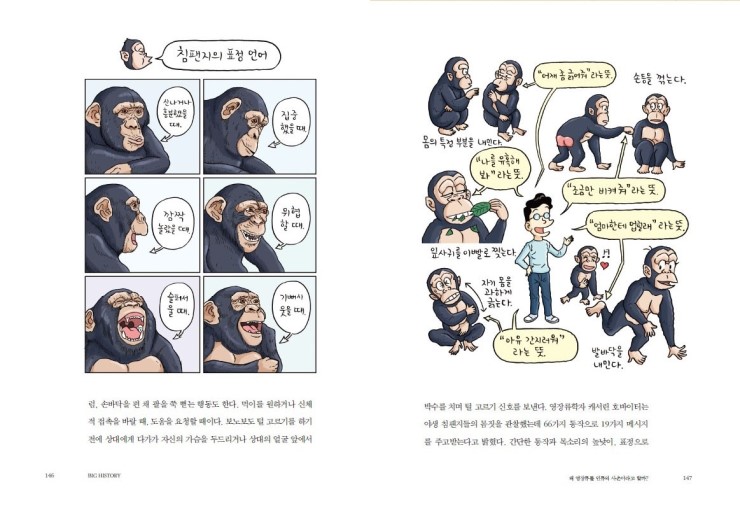 조지형빅히스토리협동조합 이미지