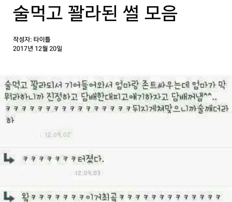 꽐라 이미지