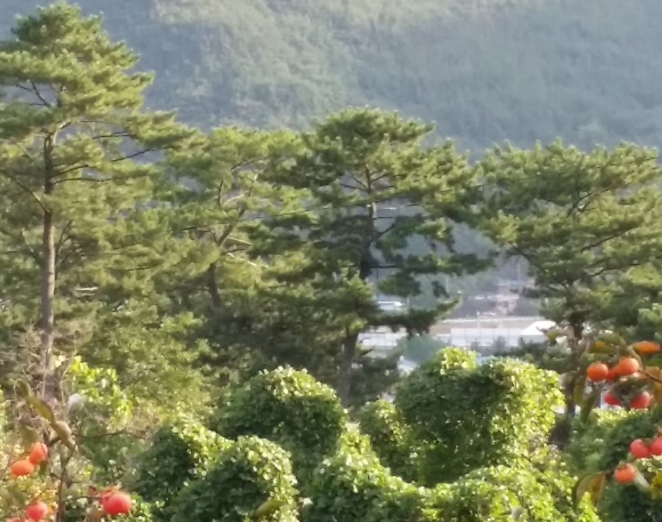 나래행정사사무소 이미지