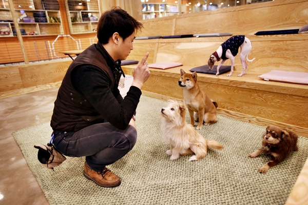 한국동물실용전문학교 이미지
