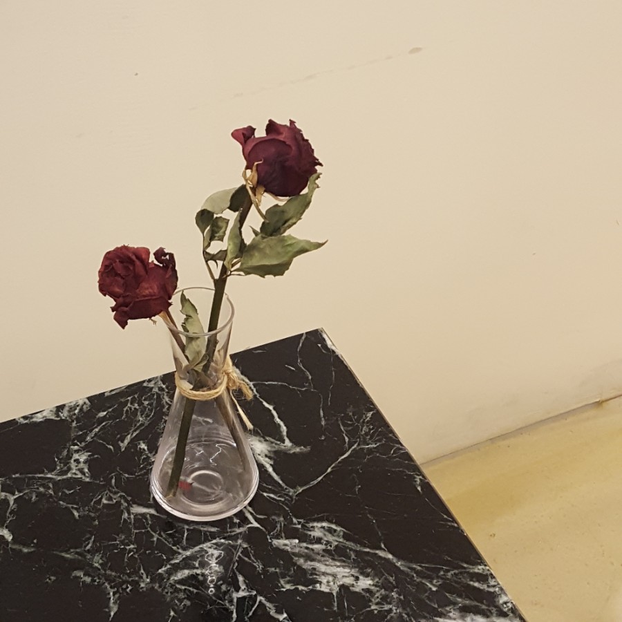 카페욜로 이미지