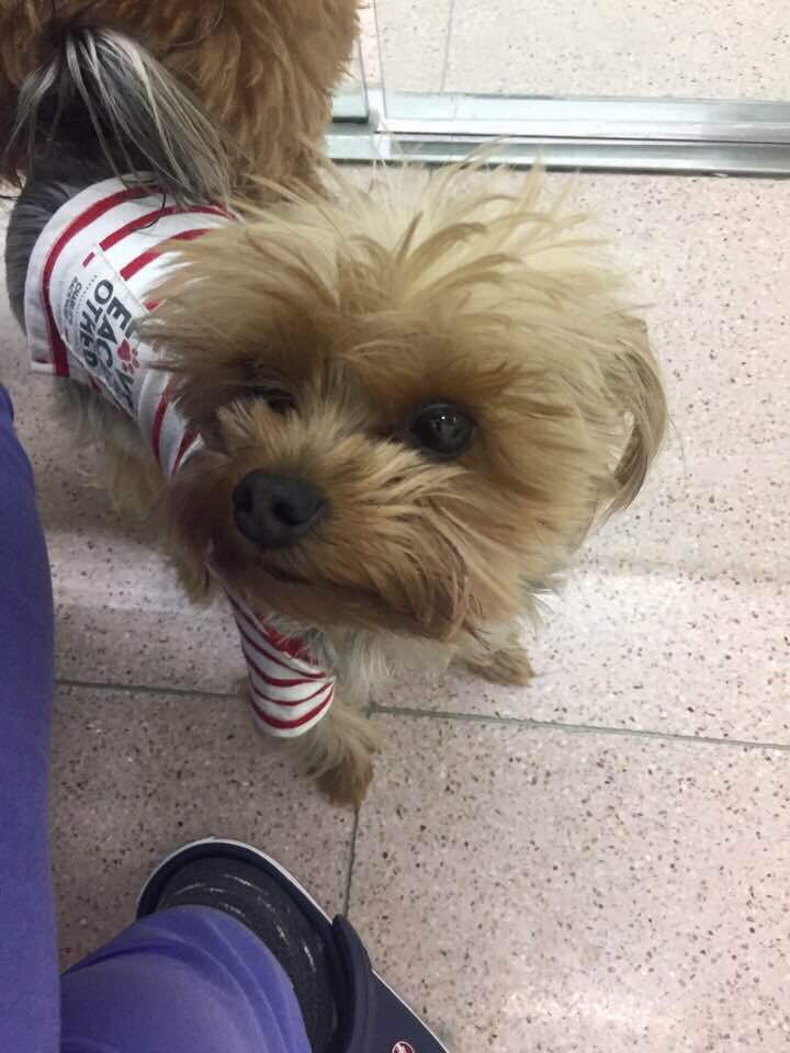 케이쌀롱 이미지