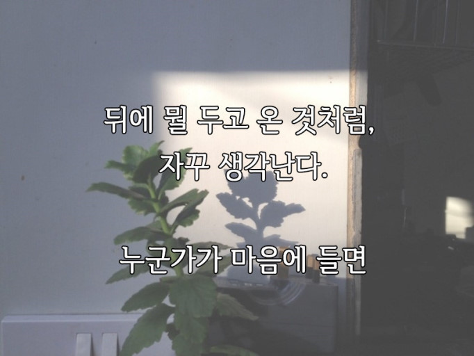 지지헤어 이미지