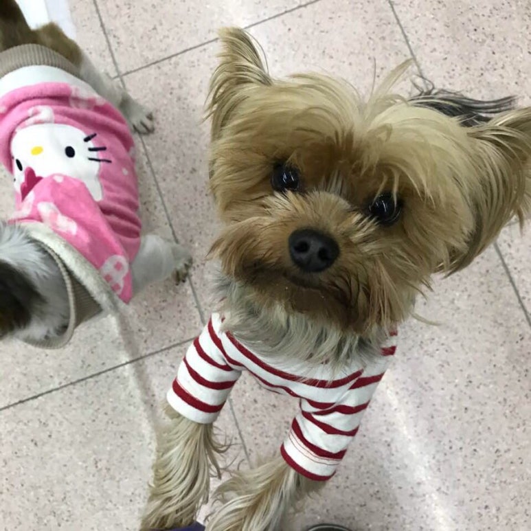 케이쌀롱 이미지