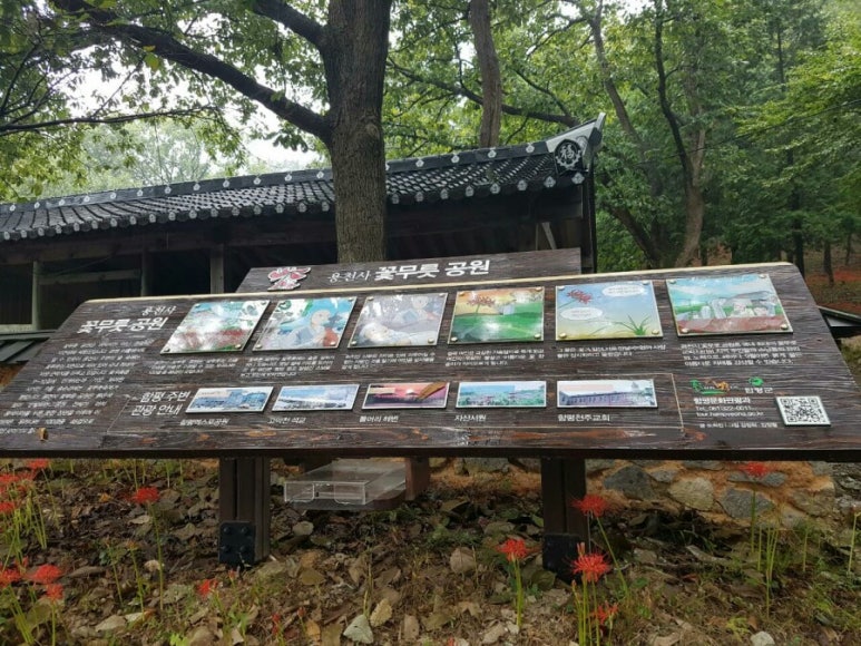 함평신흥해수찜 이미지