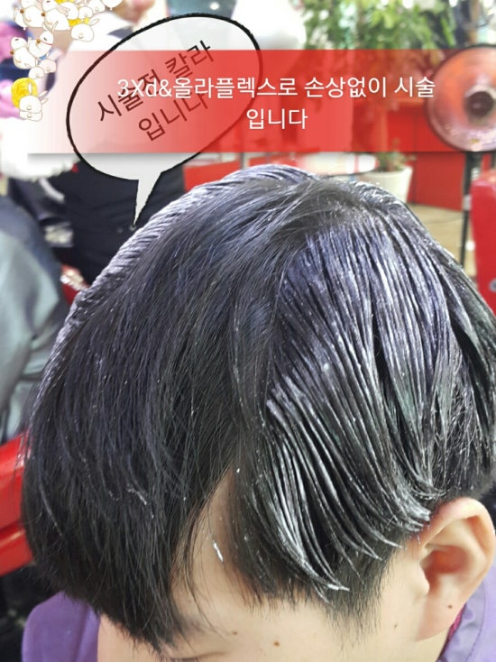 화이트헤어칼라 이미지