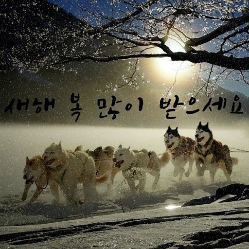 한국수제음료협회 이미지