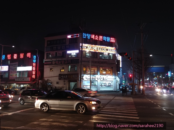 대교양고기 이미지