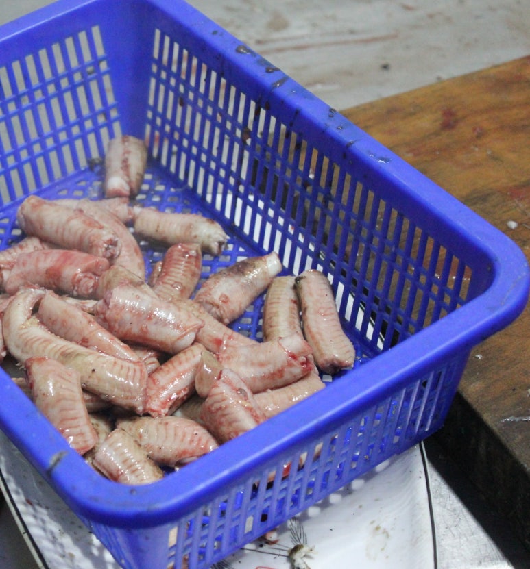태평양장어구이 이미지
