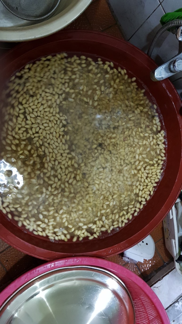 황금메주 이미지