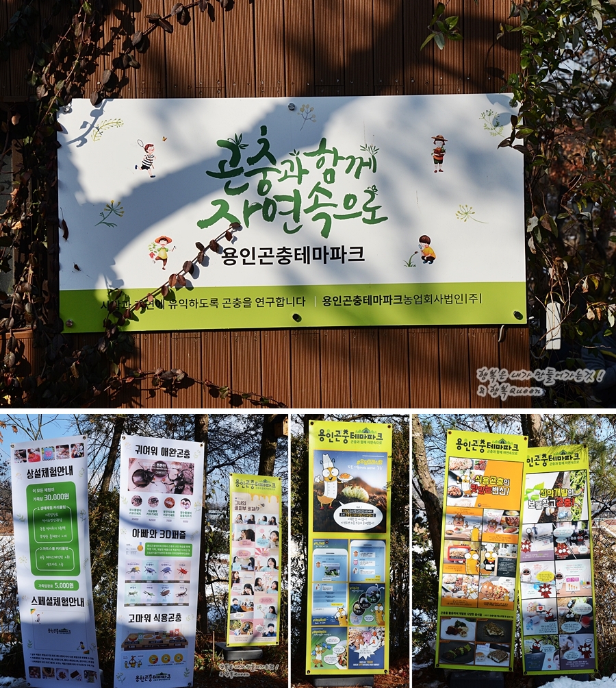 꼬꼬댁푸드 이미지