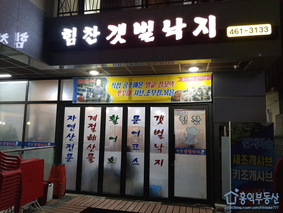 힘찬낙지 이미지