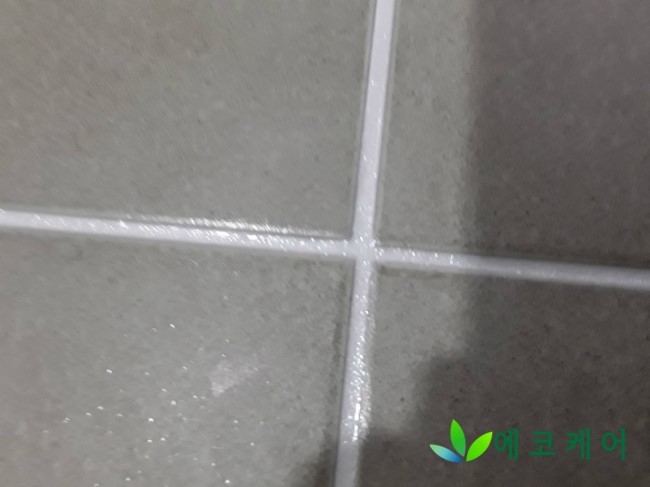 에코케어(eco-care) 이미지